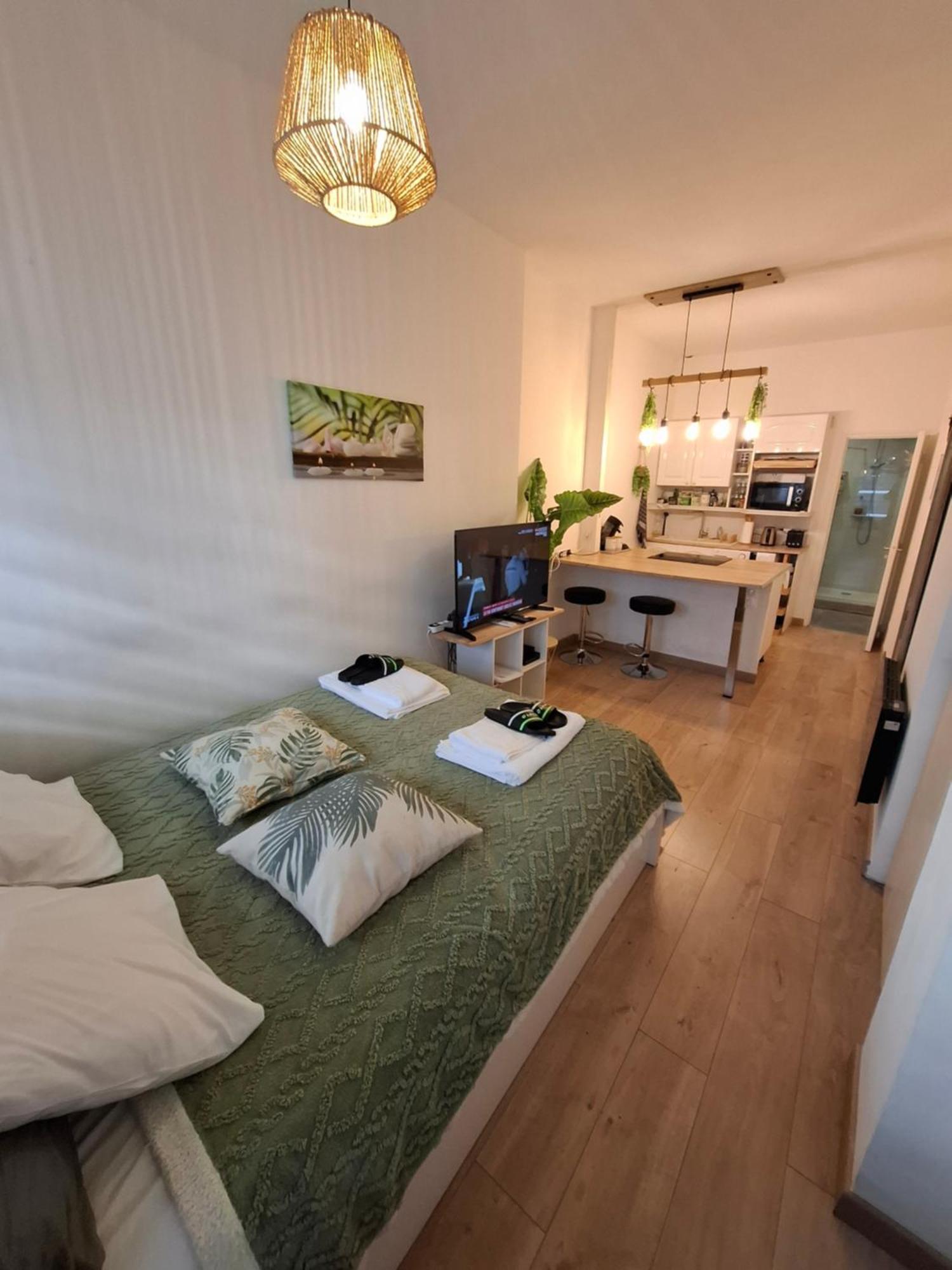 Studio La Casa De Planel Gare Saint Roch モンペリエ エクステリア 写真